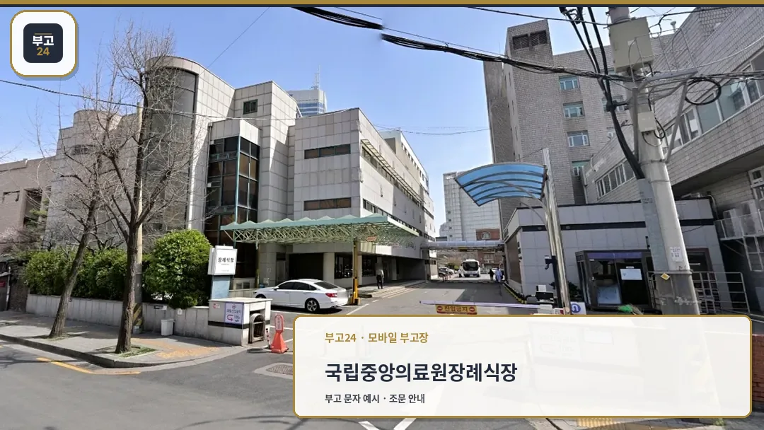 국립중앙의료원장례식장 외부와 차량 진입로 모습