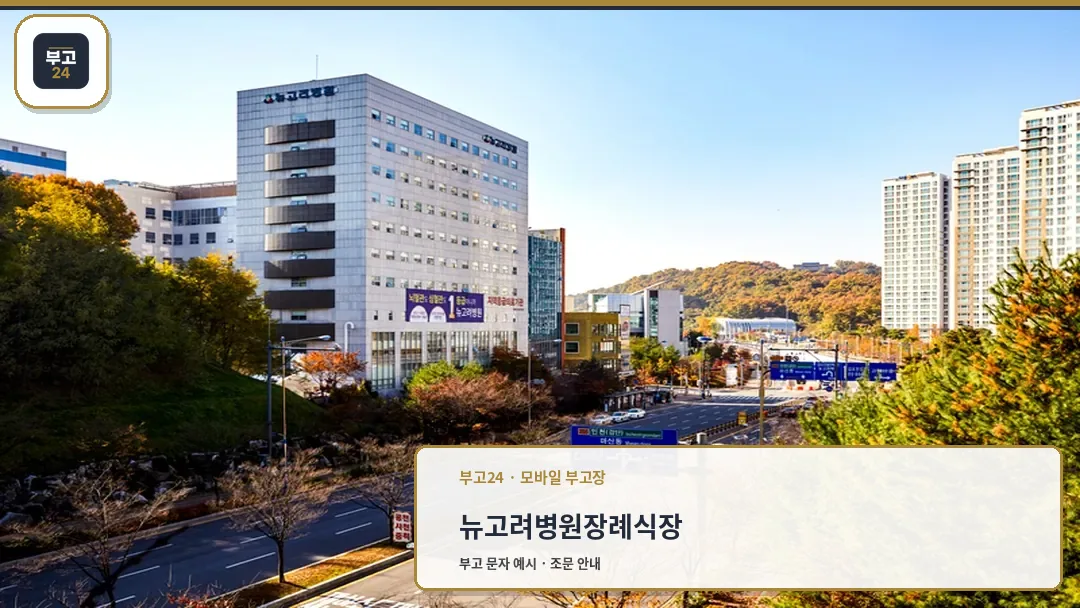 뉴고려병원 전경과 주변 풍경