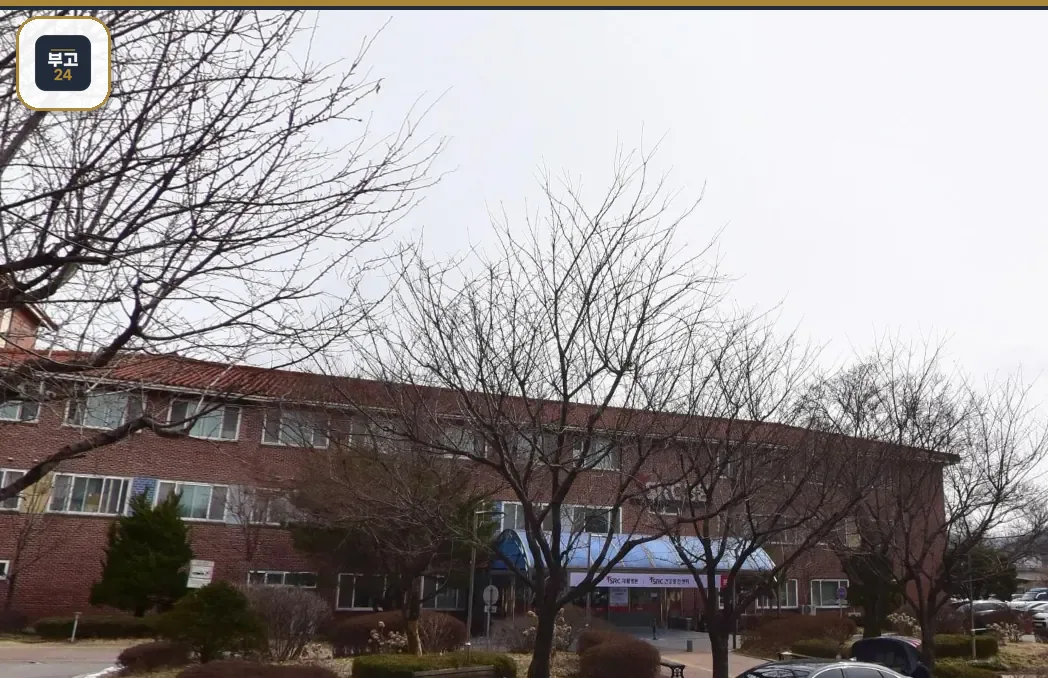 삼육병원장례식장 나무 사이 전경