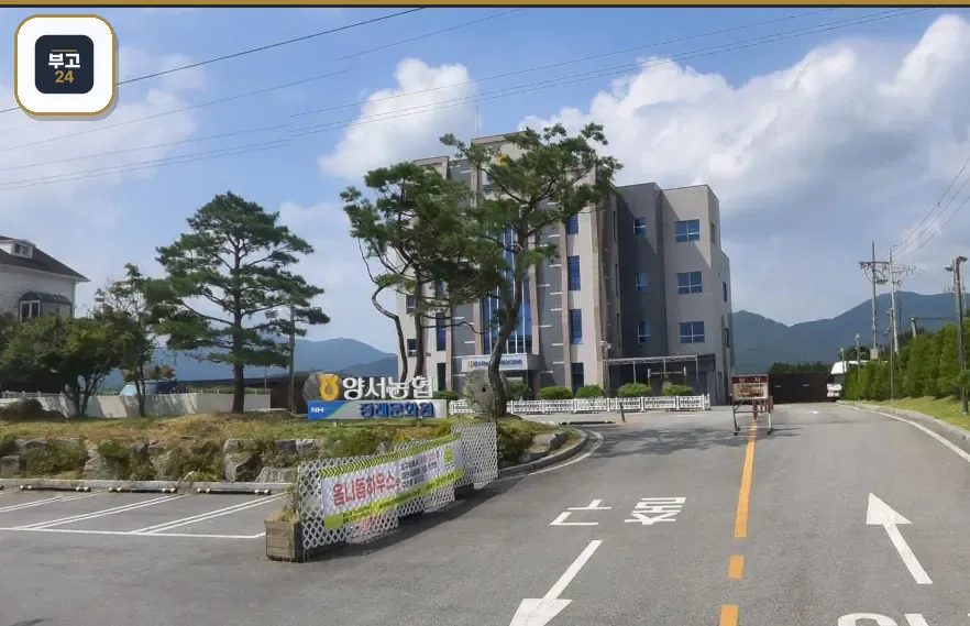 양서농협장례문화원 도로변 표지석