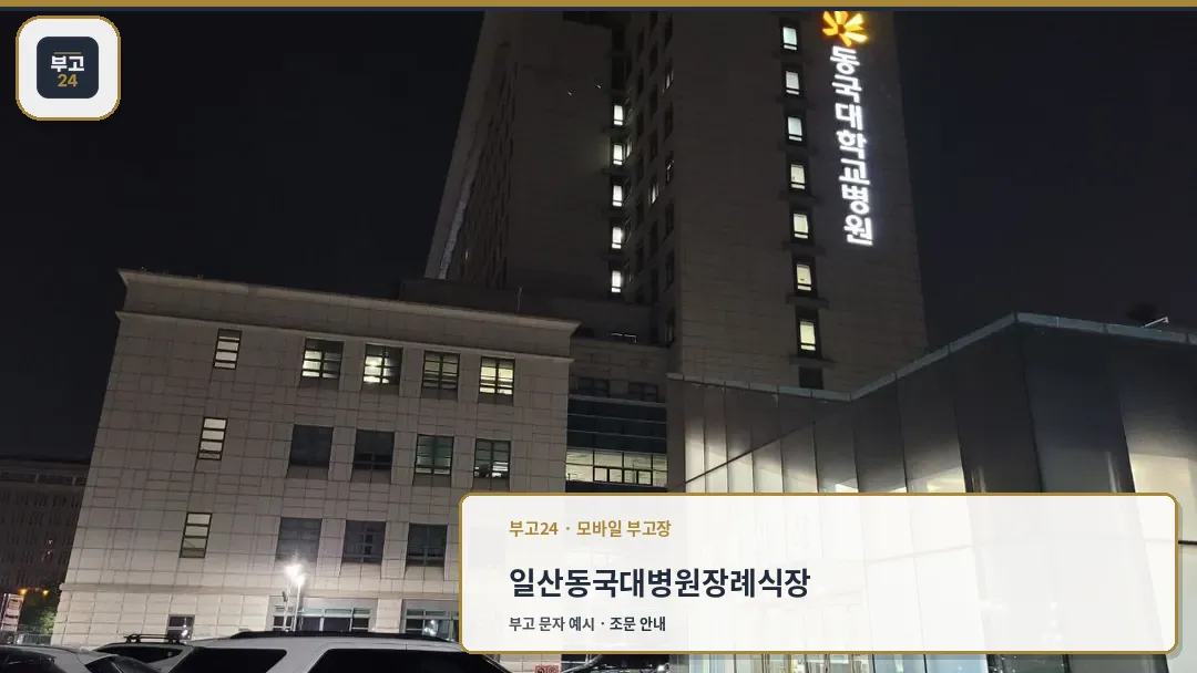 일산동국대병원장례식장 병원 본관 야경